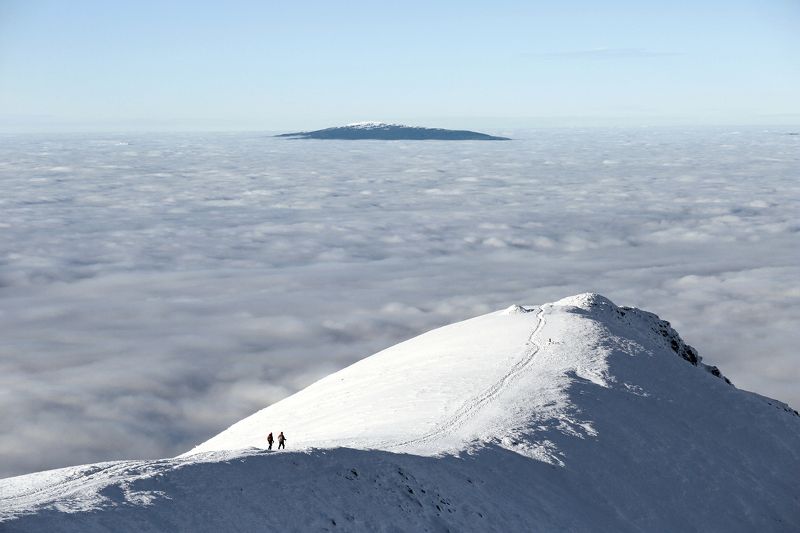wanderers фото превью