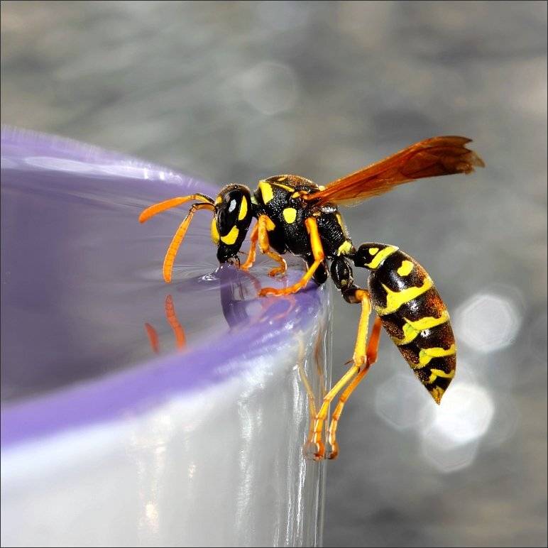 , Сергей Фудиненко