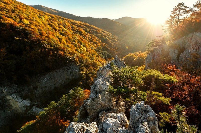 осень, горы, лес, солнце, пейзаж, landscape,wood, nature, autumn, Crimea Крымский каньон фото превью