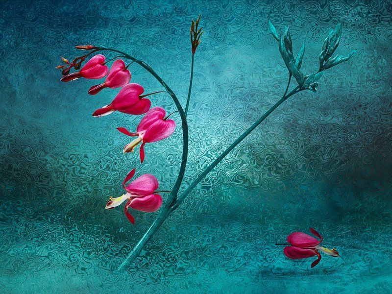 ***** фото превью