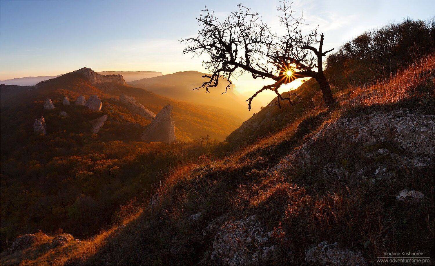 , Vladimir Kushnarev