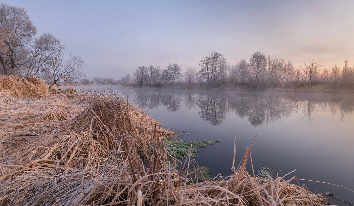 , Александр Бредихин