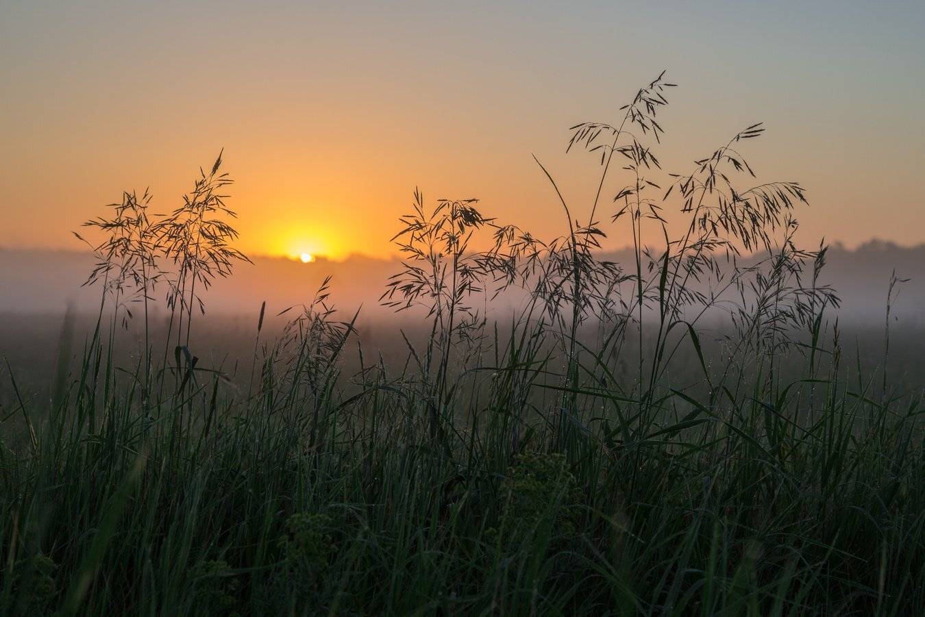 , Александр Бредихин