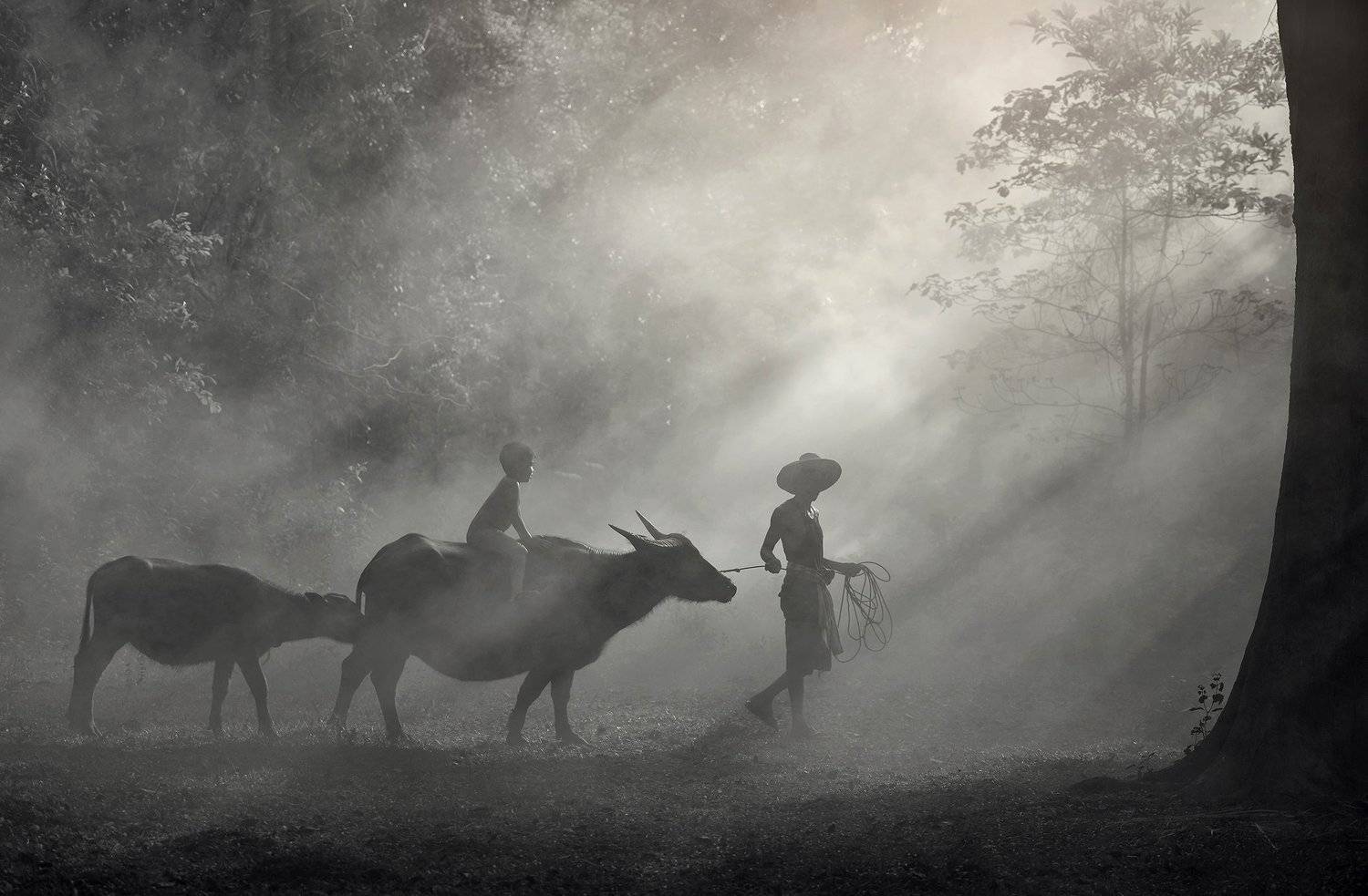 Go home, sarawut intarob