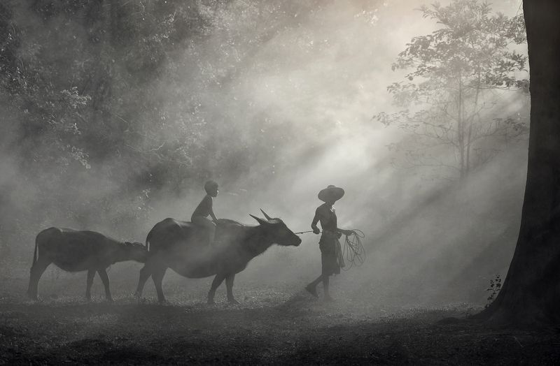 Go home Go home фото превью