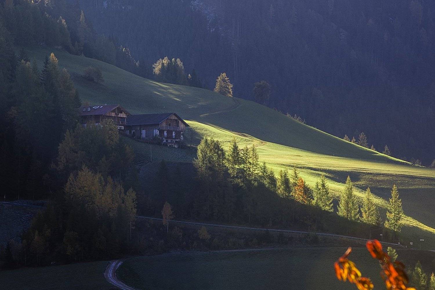 , Владимир K.