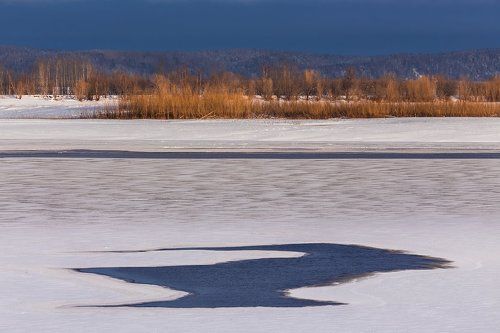 Обские полыньи