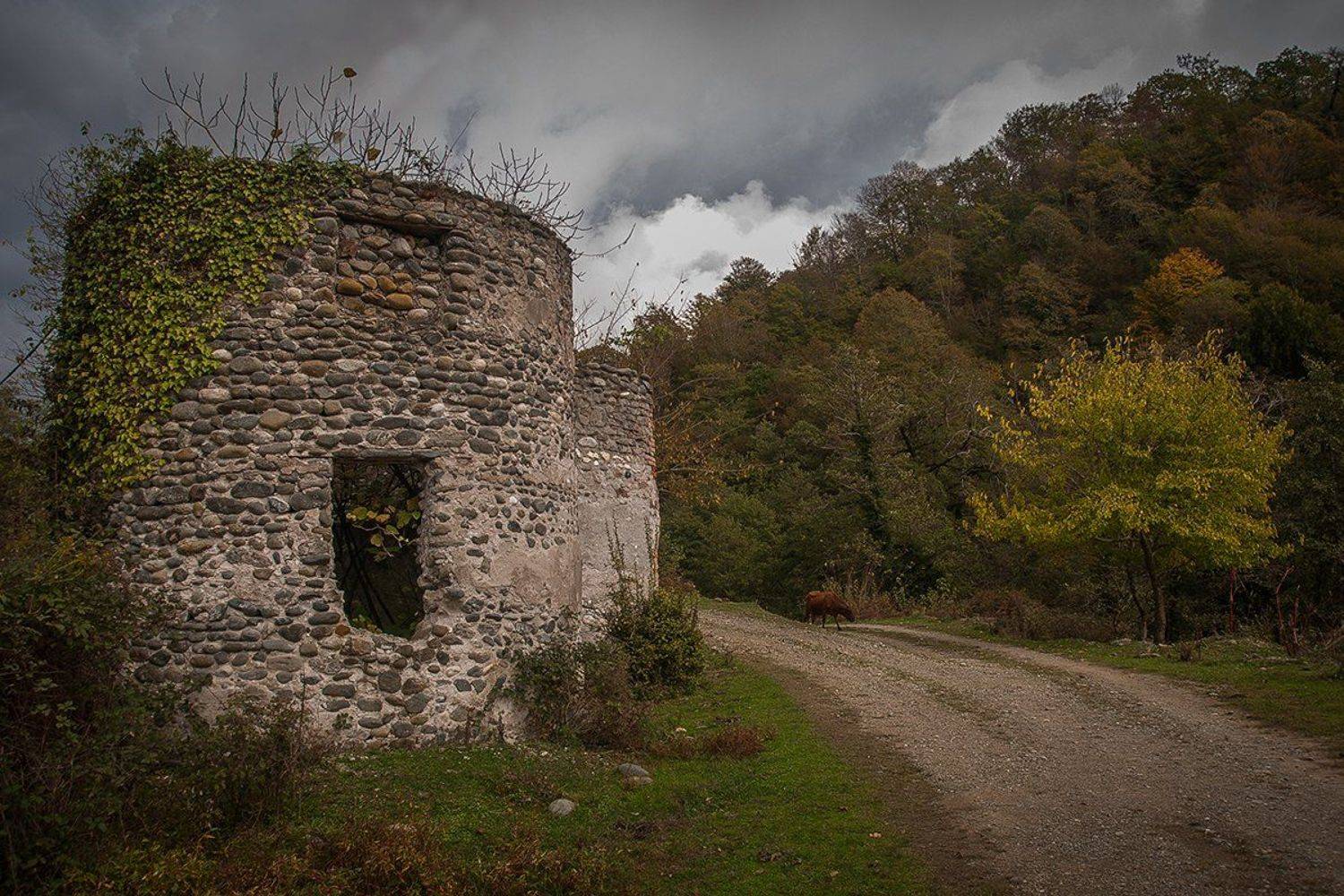 , Марина Сивакова