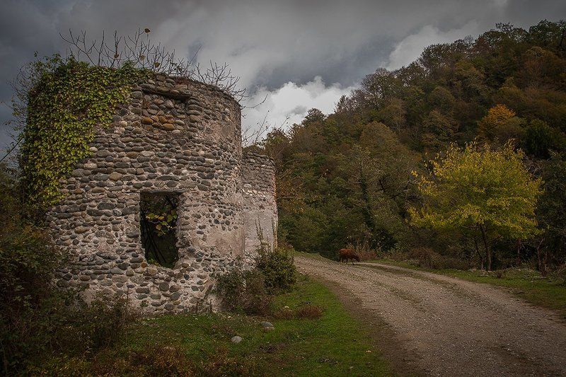 *** фото превью