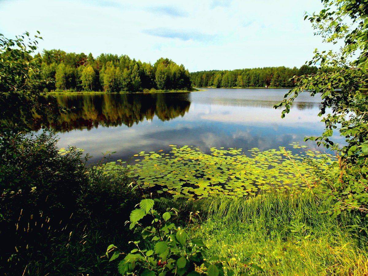 вода., озеро., тепло, Марина Никулина