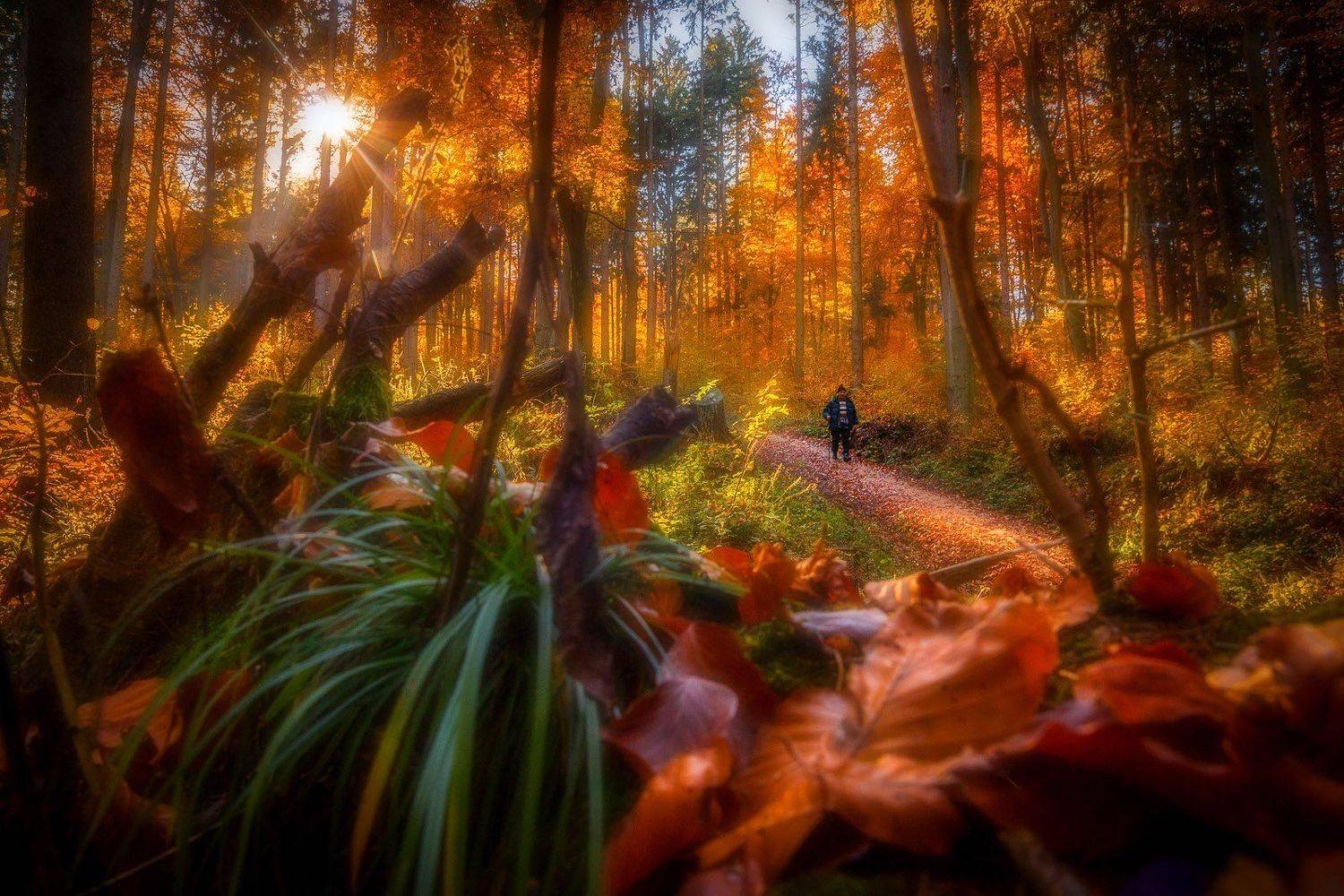 Autumn, People, Sunset, Serban Bogdan