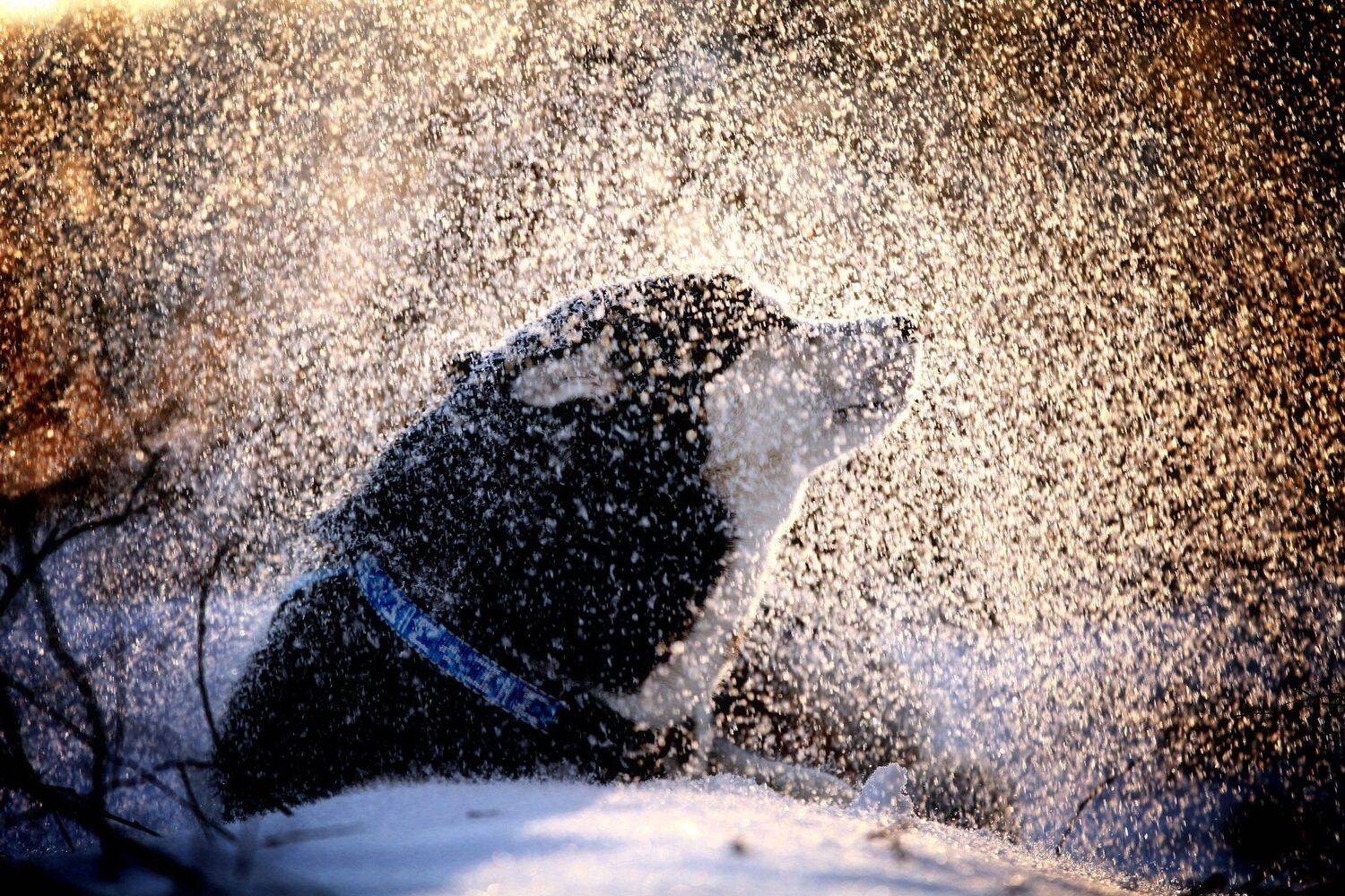 , Андрей Ершов