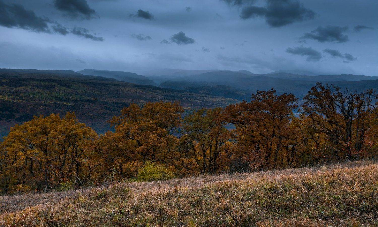 Лес, Мезмай, Осень, Природа, Олег Скан