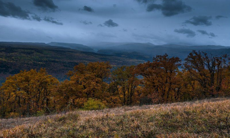 Лес, Мезмай, Осень, Природа Осень... фото превью