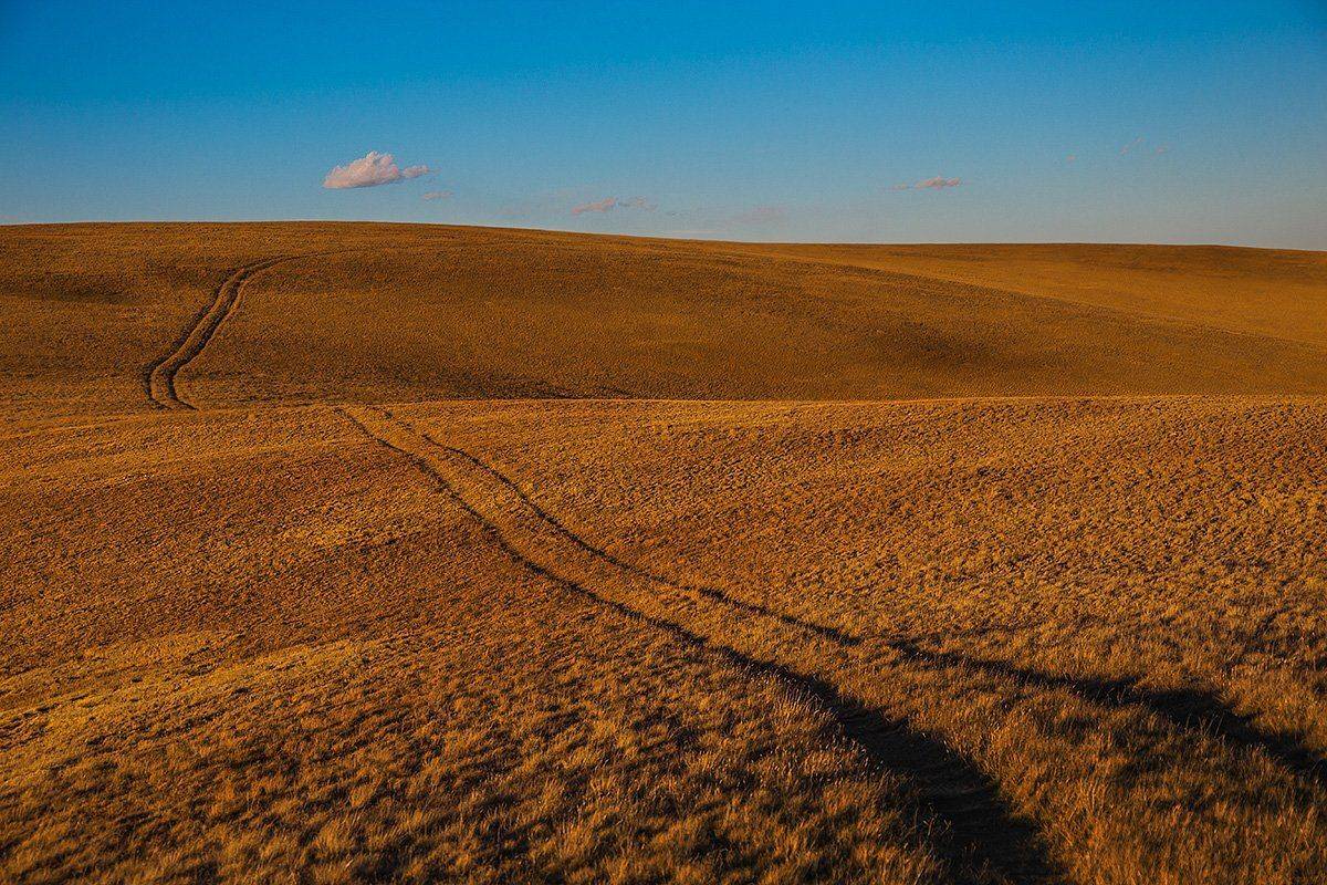 , Василий Косивцов