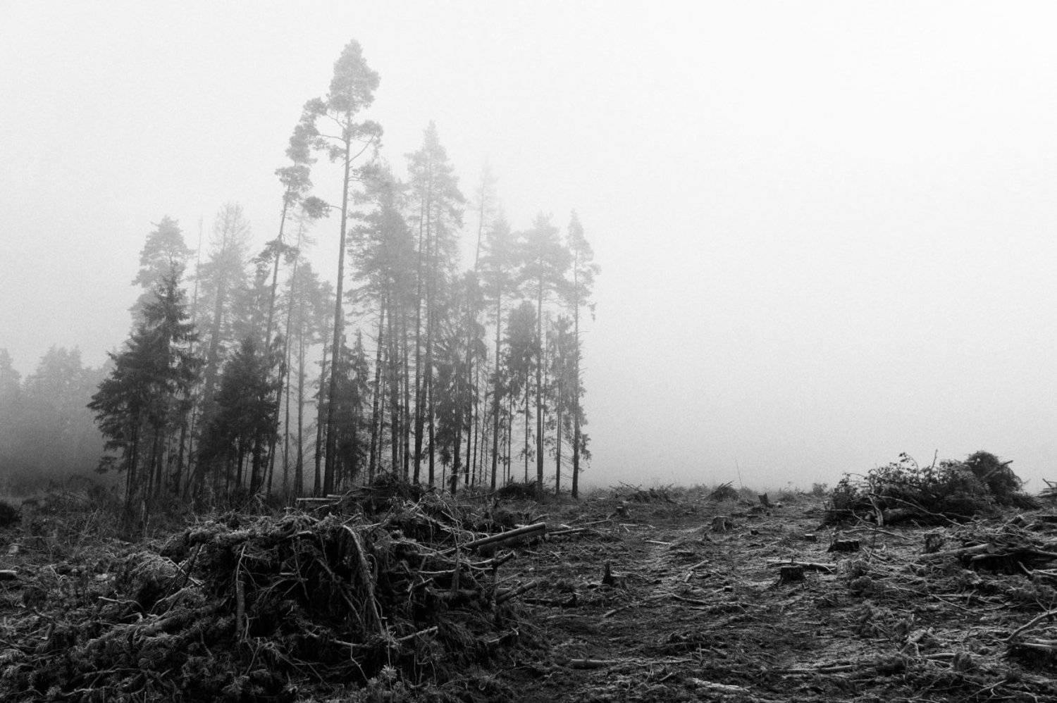 , Пеккер Сергей