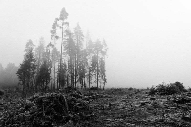 Стоять до последнего! фото превью