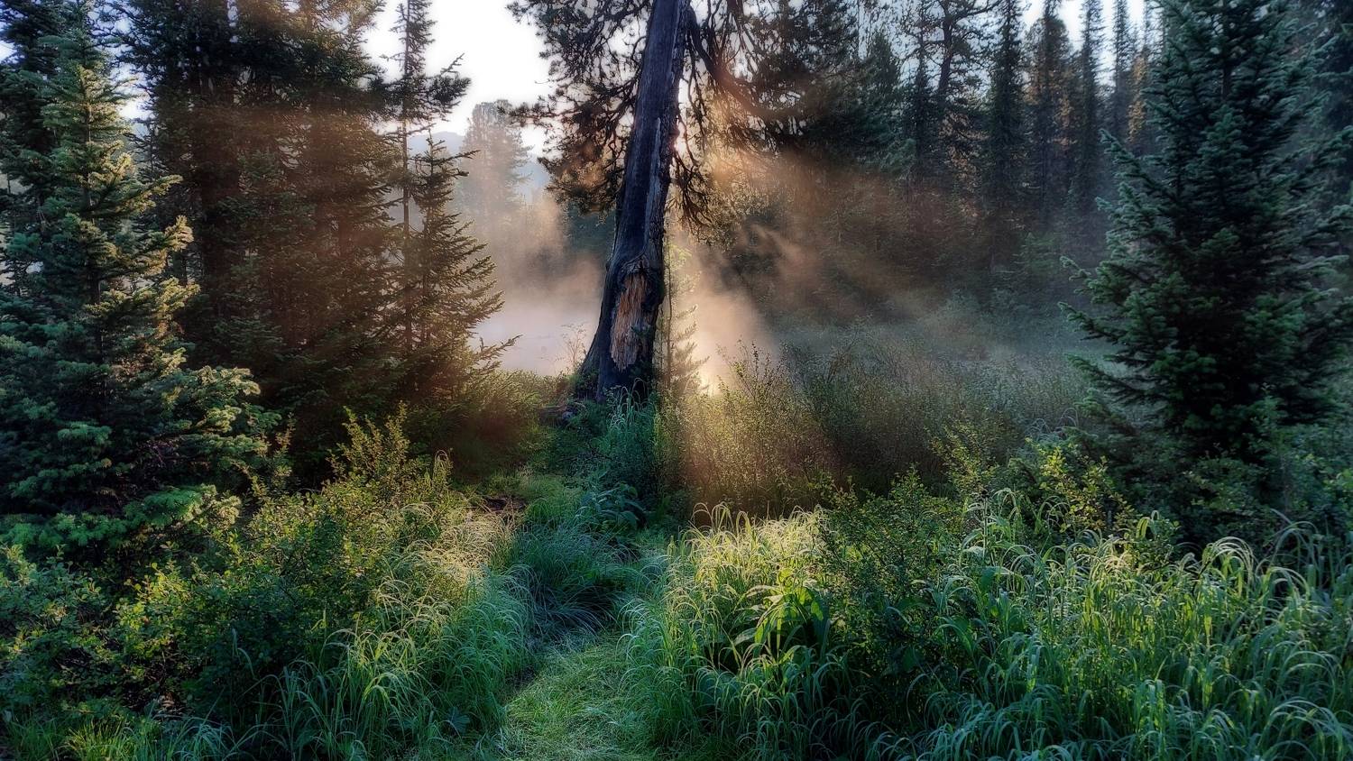ергаки, Багурский Алексей