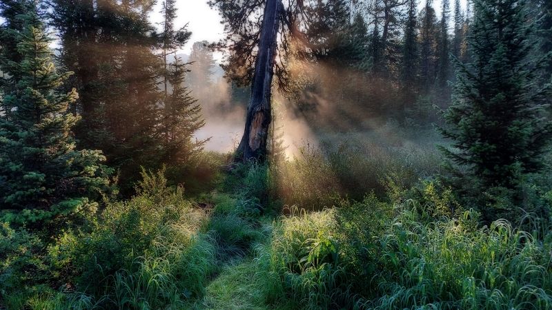 ергаки Пока все спят фото превью