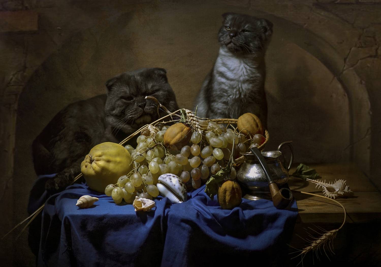 , Сушкевич Светлана