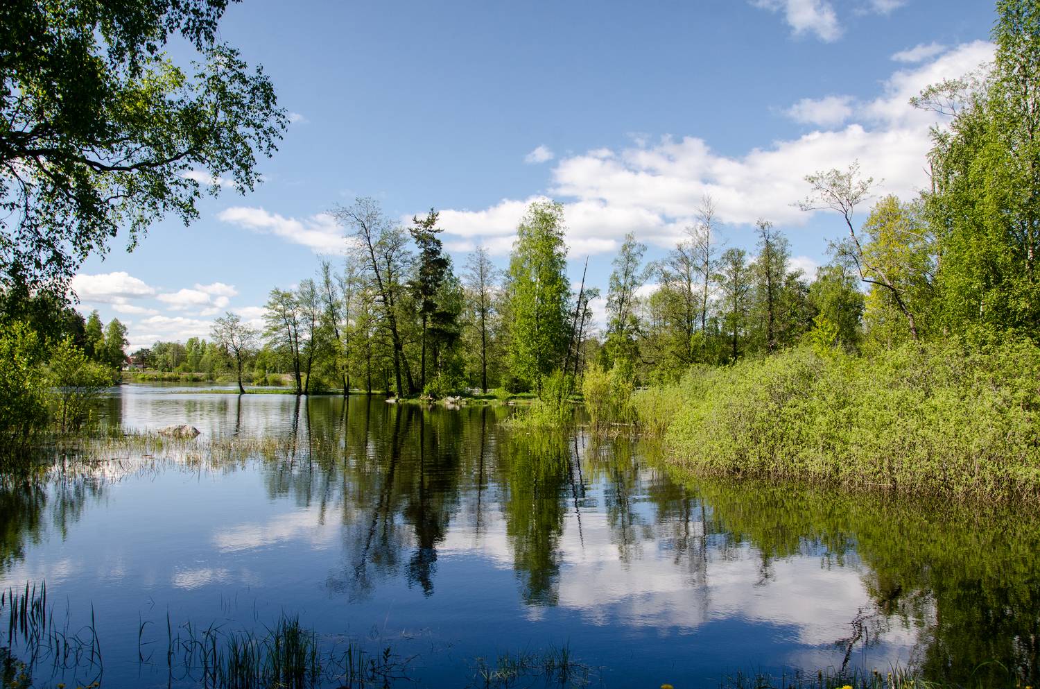 , Александр Березуцкий