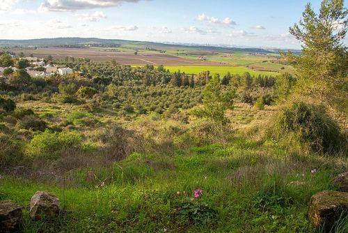 Латрун - окрестности