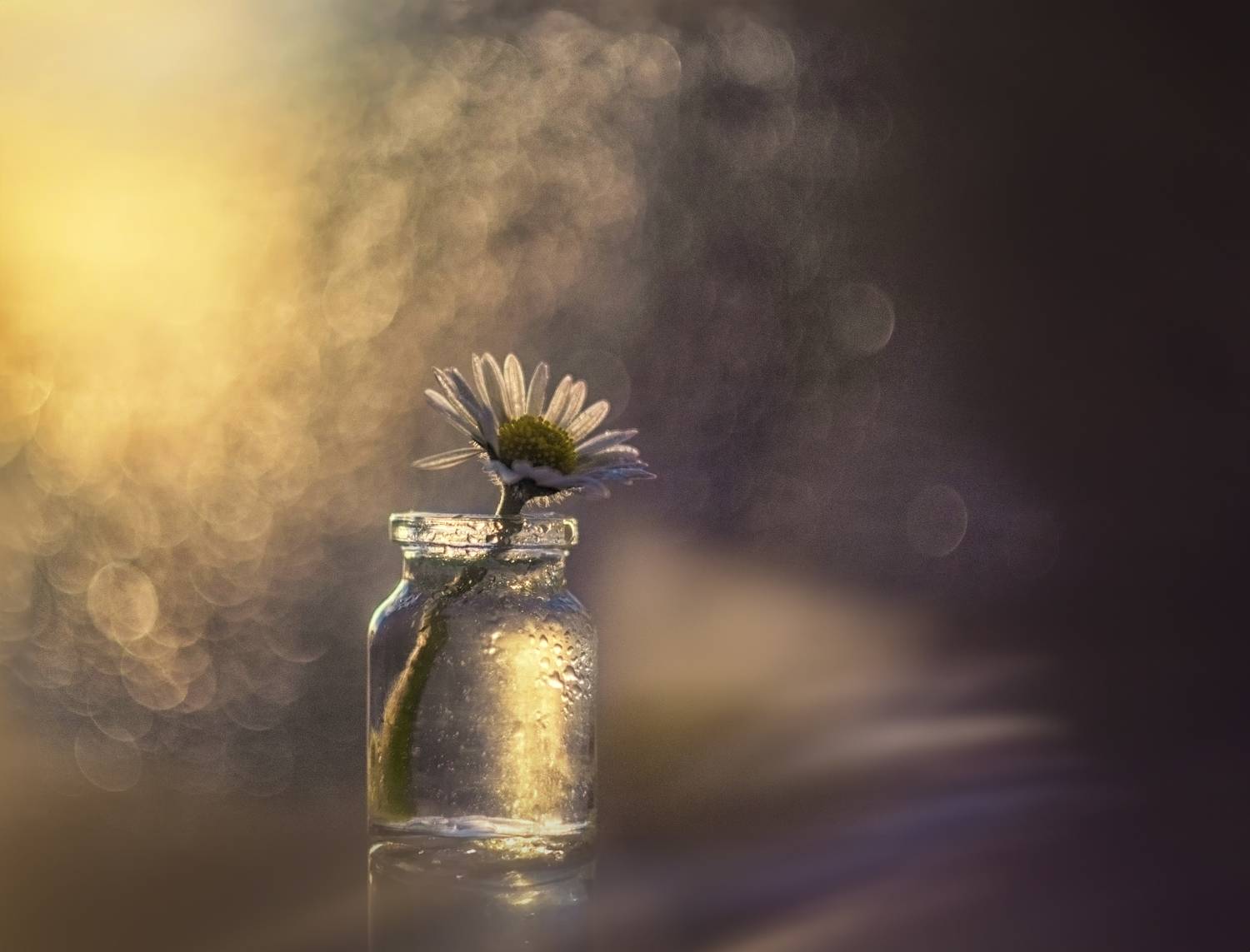 , Сигидова Ирина