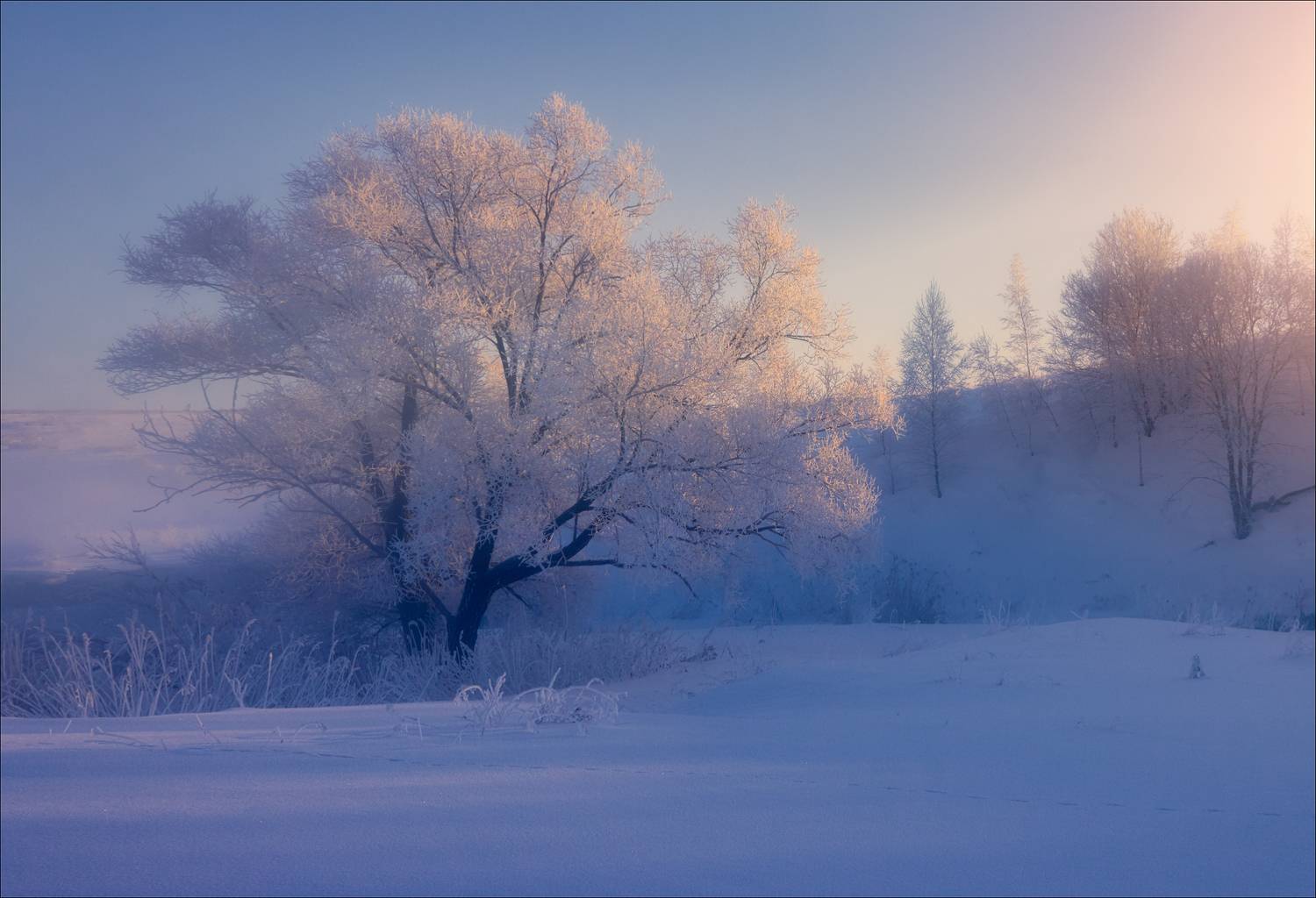 , Богорянов Алексей