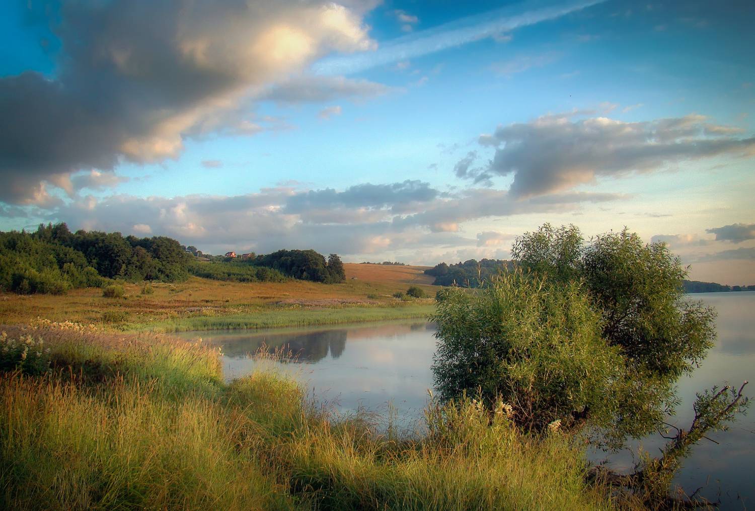 лето, веля, Сергей Аникин
