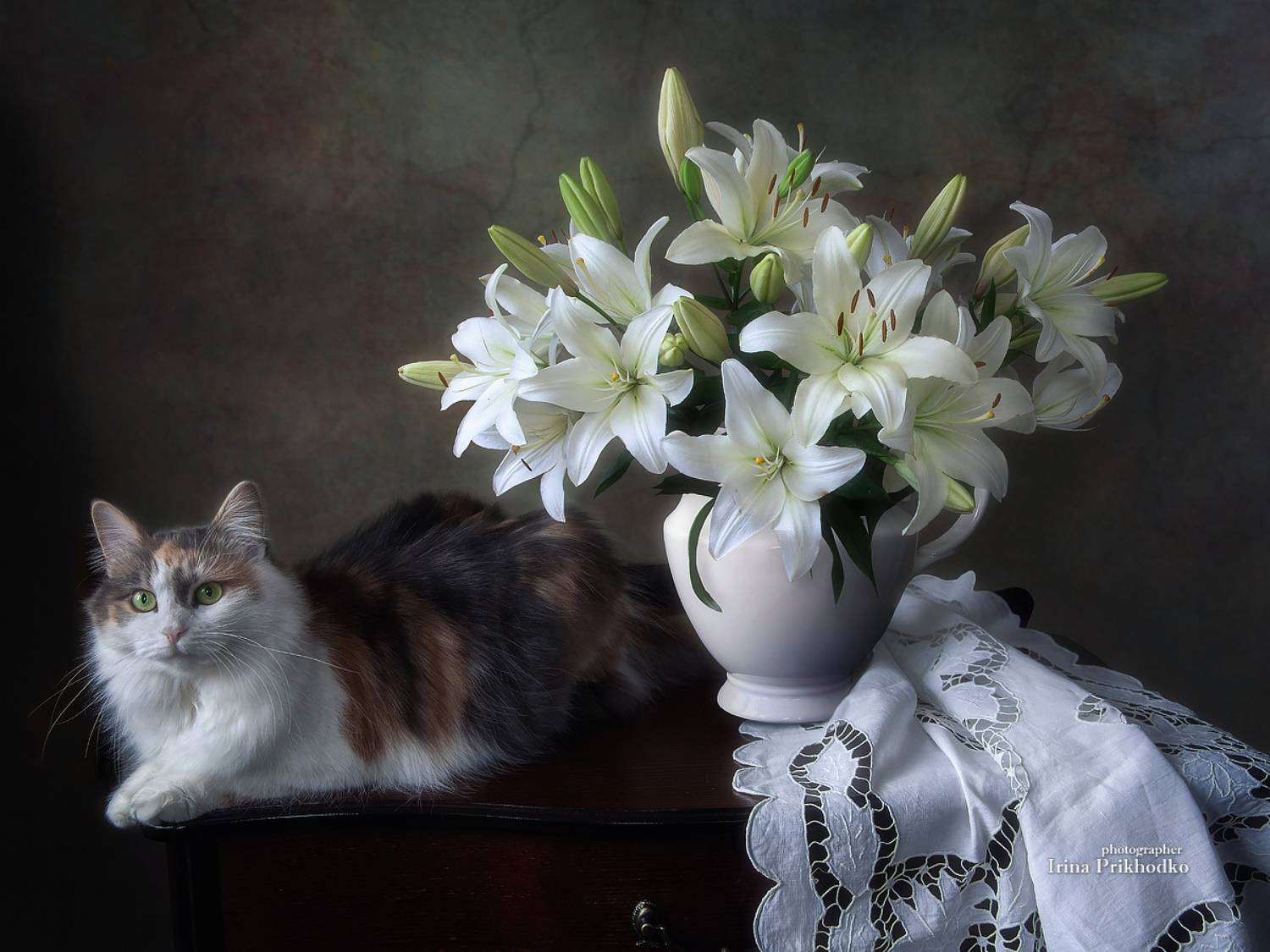 натюрморт, цветы, лилии, букеты, кошка, домашние животные, питомцы, Приходько Ирина