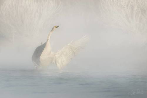 Навстречу солнцу