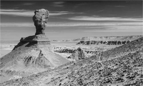 Фототур в Монголию