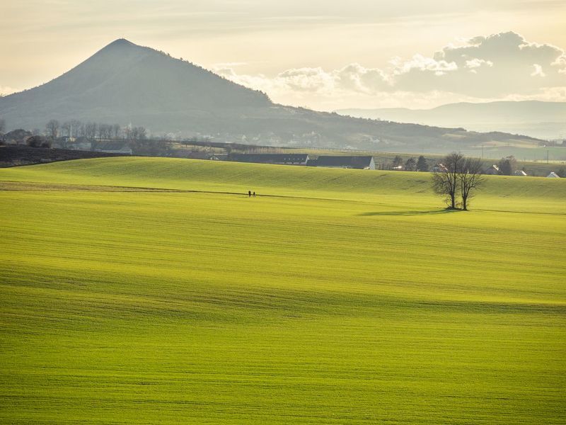 czechia,czech,central bohemian uplands,spring,green,people,perspective,story,negative space,rana Early spring in the Central Bohemian Uplands фото превью
