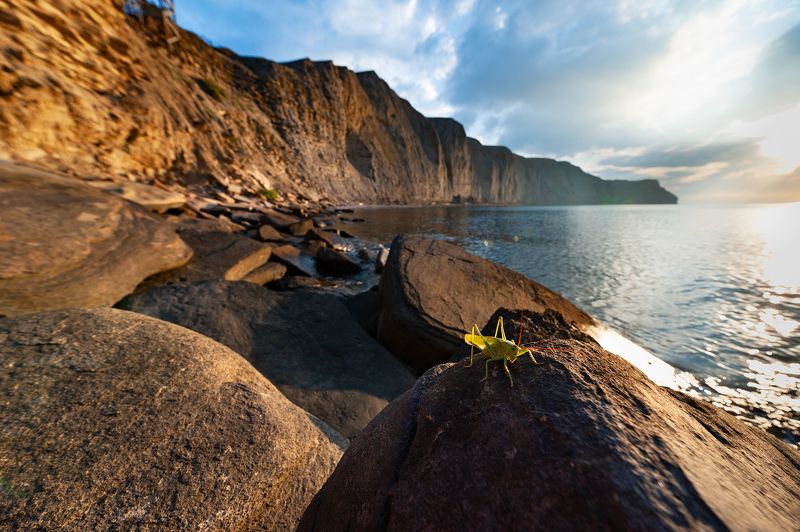 * фото превью