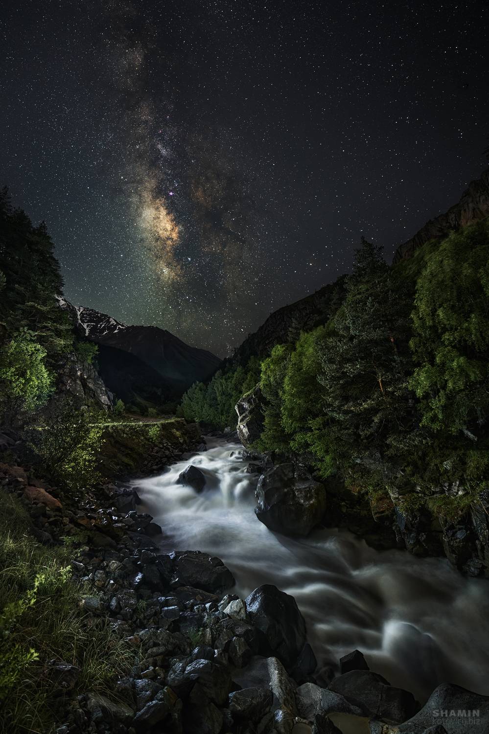 , Константин Шамин