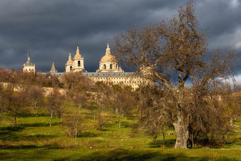 Кажется дождь собирается фото превью