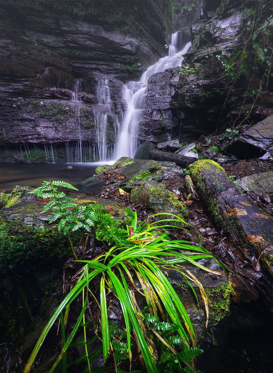 , Андрей Родионов