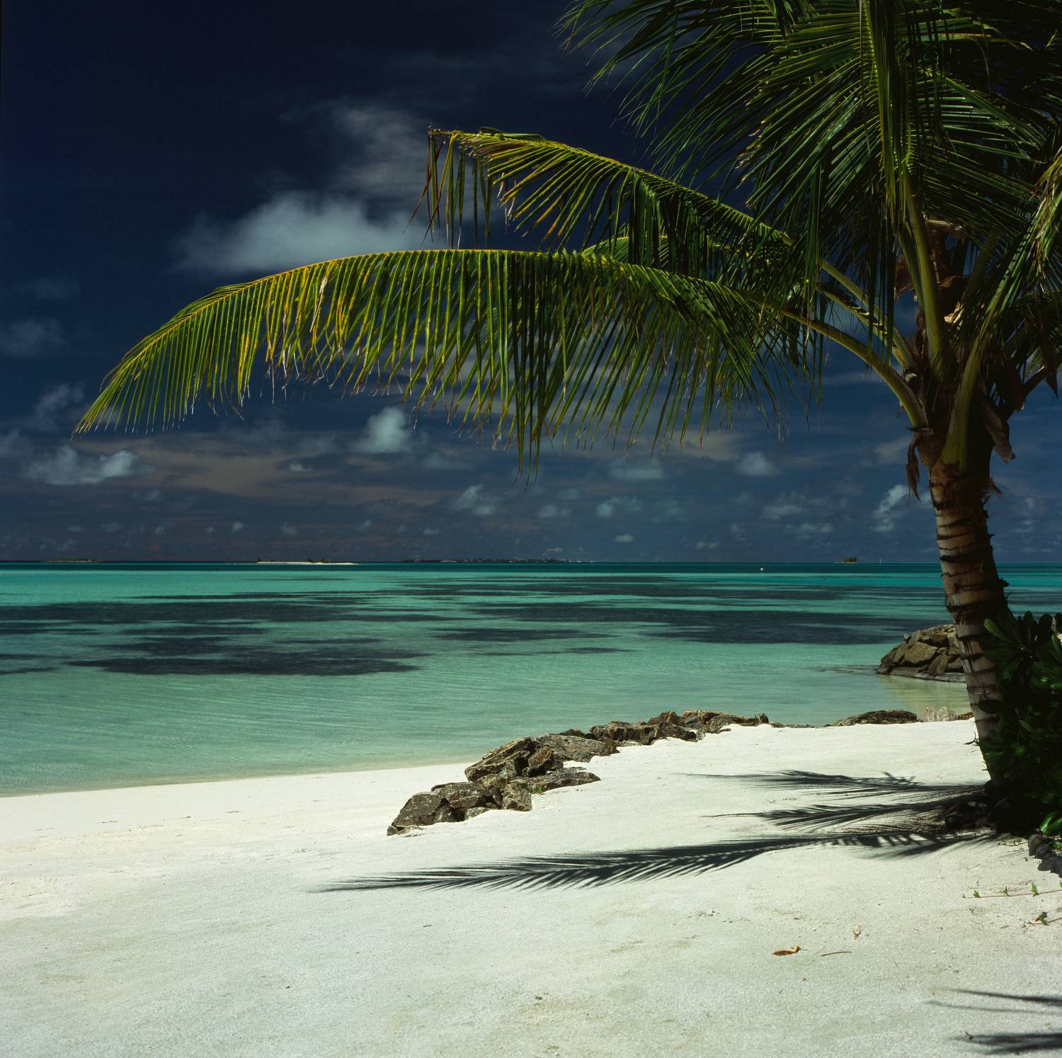 film, analog, analog photo, film photography, пленка, плёночная фотография, medium format, 120mm, 120 film, 6x6, средний формат, bronica, bronica sq-a, Zenzanon, Zenzanon80mm, Fujifilm, Fujichrome, Velvia, Velvia 100, Fujichrome Velvia 100, Fujifilm Velvi, Попов Алексей