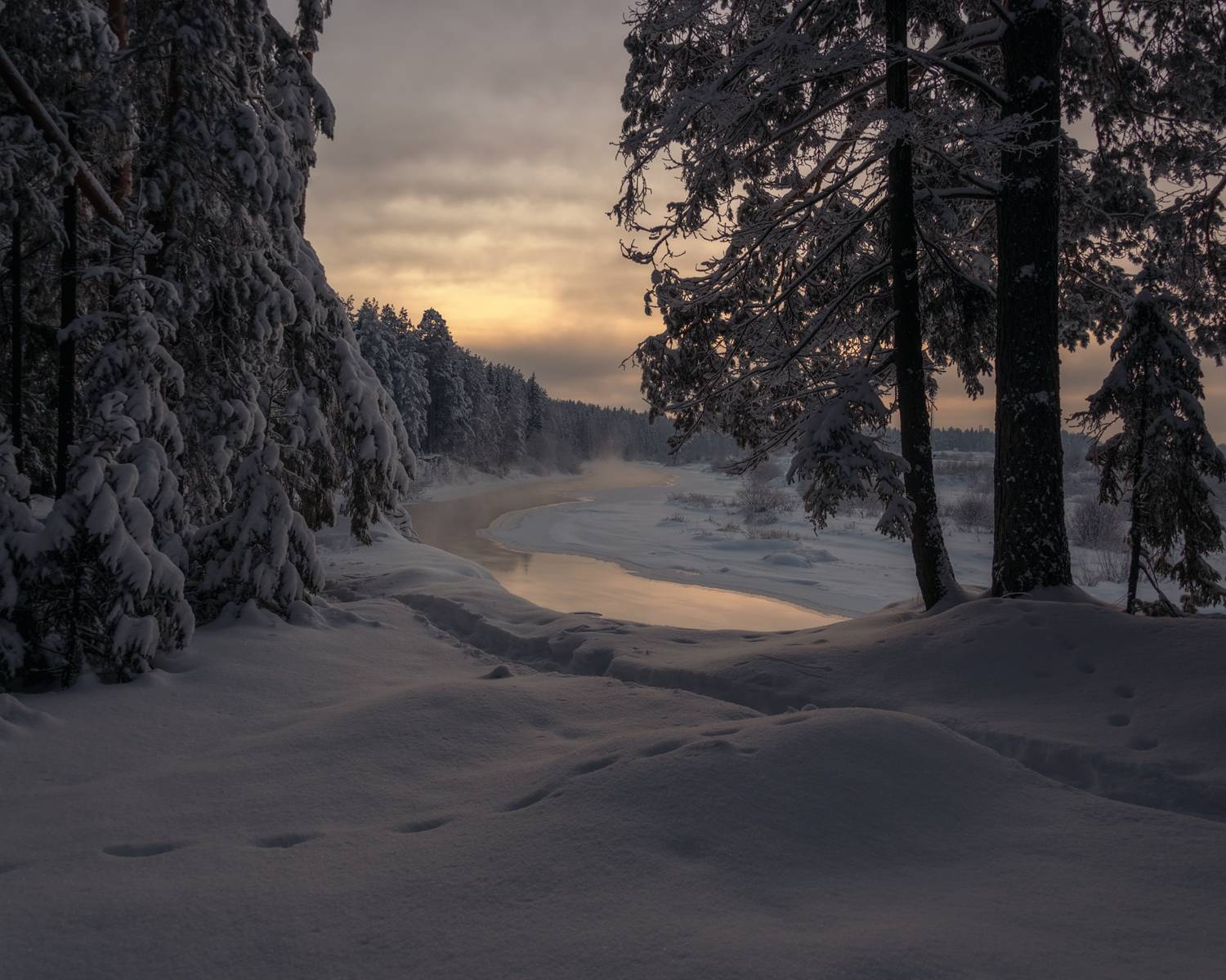 , Архипкин Александр