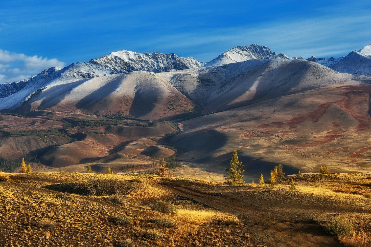 алтай, республика алтай, курай, горы, Галина Хвостенко