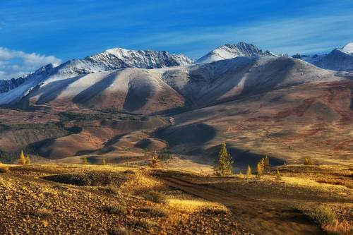 Курайский хребет