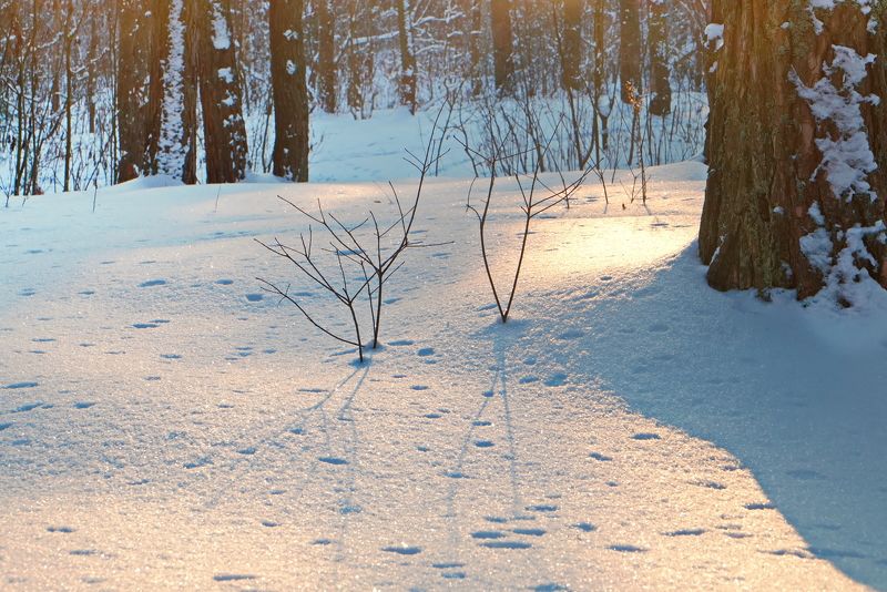 Искромётный танец фото превью