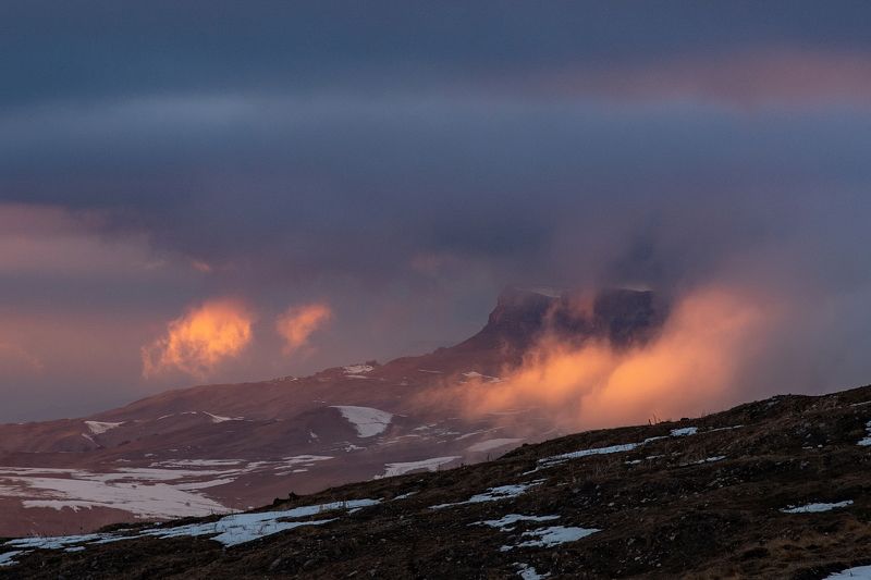 РОЗОВАЯ ВАТА фото превью