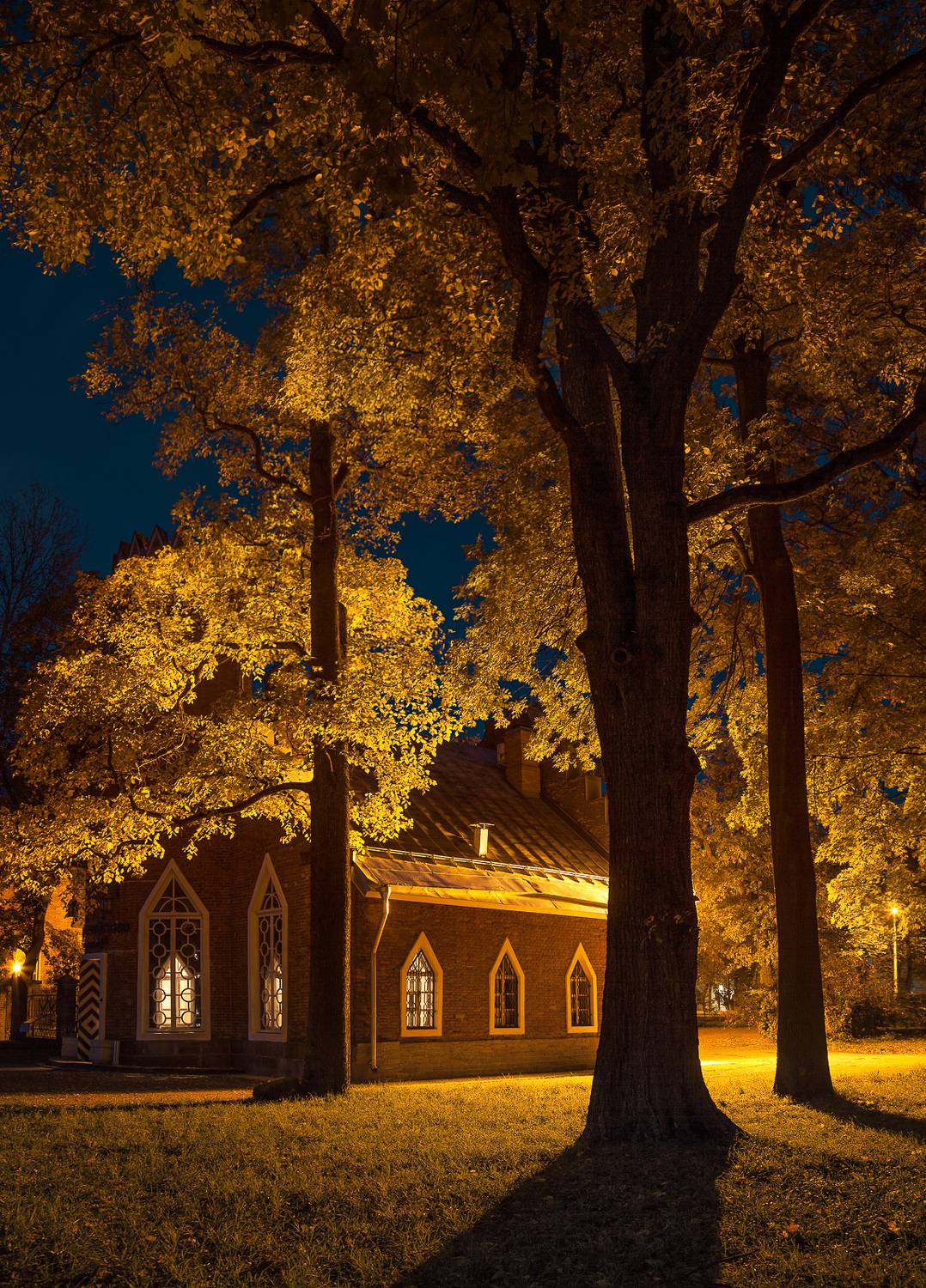 царское село, пушкин, екатерининский парк, адмиралтейство, ночь, осень, Зверев Олег