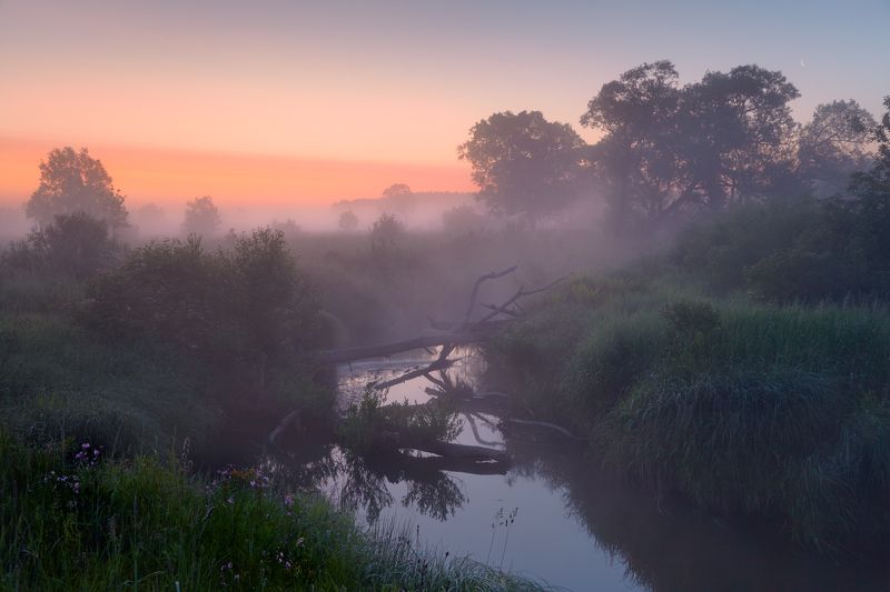 Там,где раки зимуют  ... фото превью