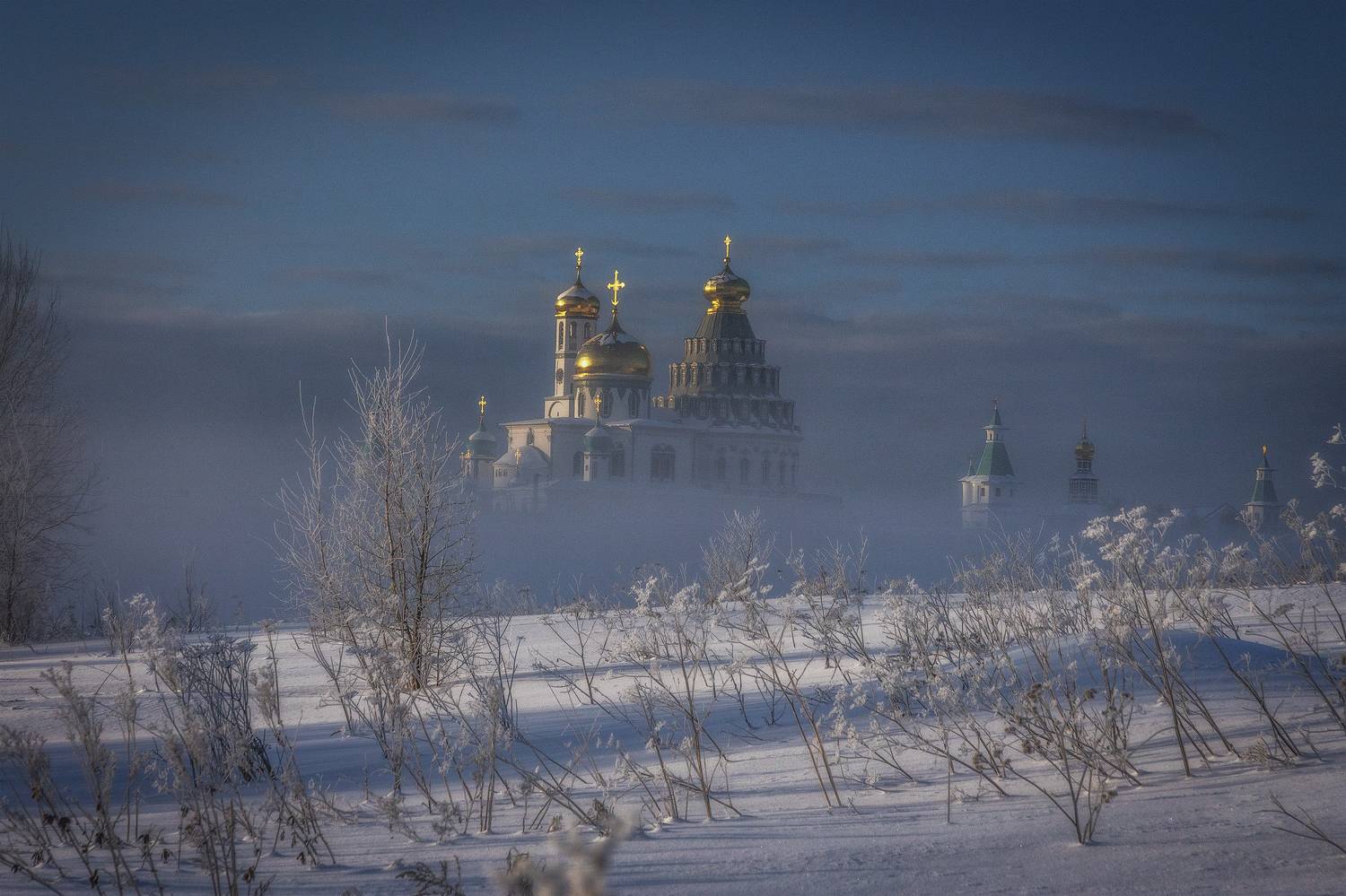 истра, Елена Гусева