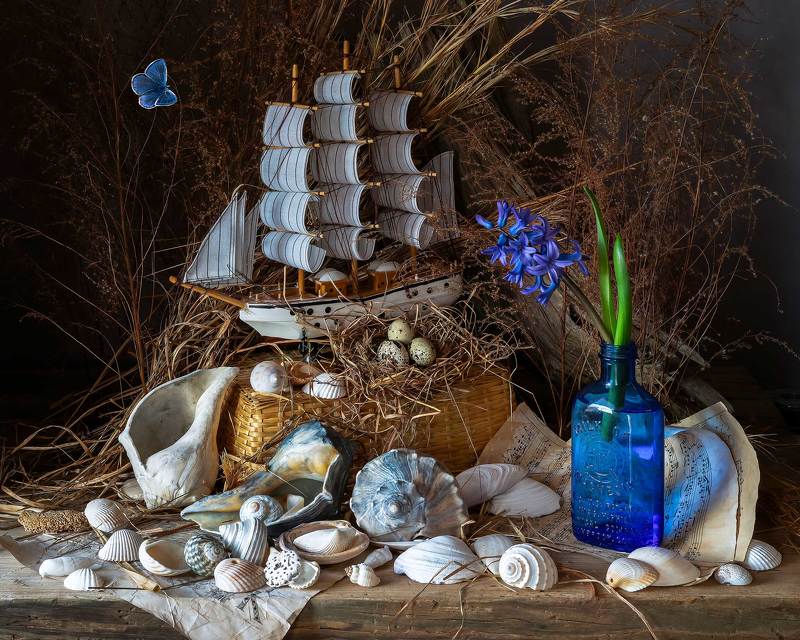 Nautical Fantasia, with Atlantic Rapans and Hyacinth фото превью