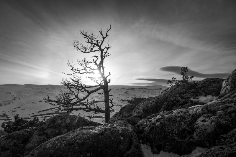 ... фото превью