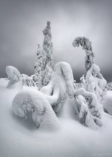 Один день из зимних будней жителей Волосяной горы