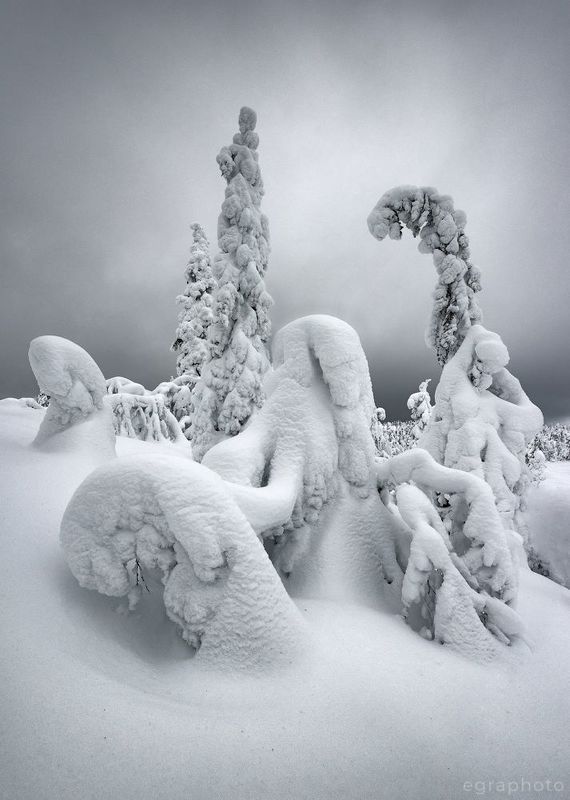 гора, сопка, волосяная, волостная, кольский полуостров, мурманская область Один день из зимних будней жителей Волосяной горы фото превью